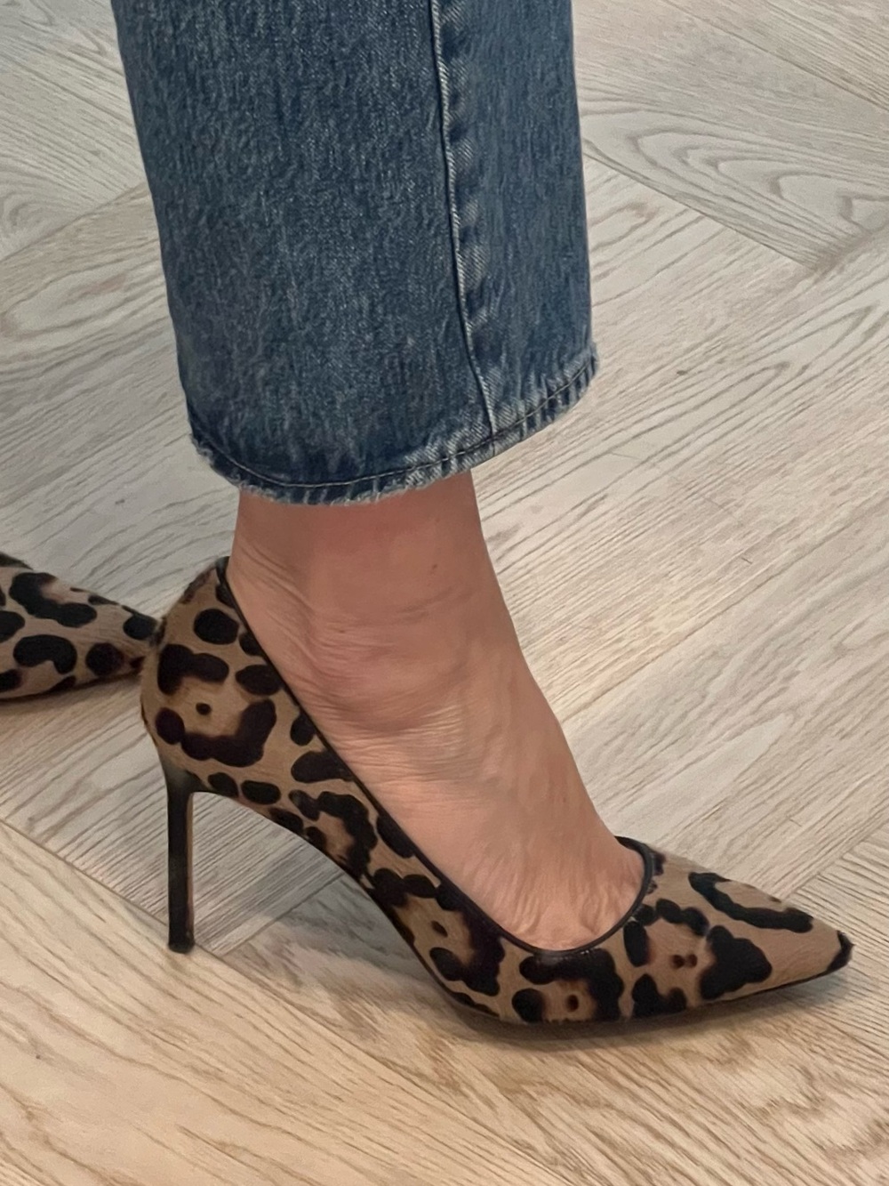 Manolo Blahnik Leopard-Print Pointed-Toe Pumps - Brown/Black